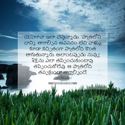 Picture 07 - యిర్మీయా 49:12 TELIRV - యెహోవా ఇలా - Bible Verse Picture