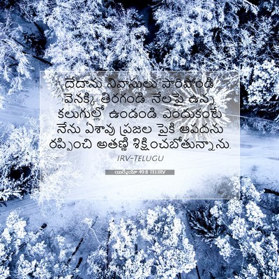 Picture 07 - యిర్మీయా 49:8 TELIRV - దేదాను నివాసులు - Bible Verse Picture