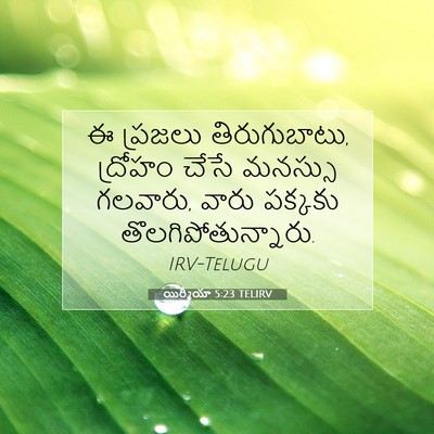 Picture 07 - యిర్మీయా 5:23 TELIRV - ఈ ప్రజలు - Bible Verse Picture