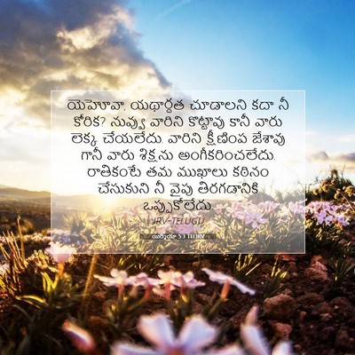 Picture 07 - యిర్మీయా 5:3 TELIRV - యెహోవా, యథార్థత - Bible Verse Picture