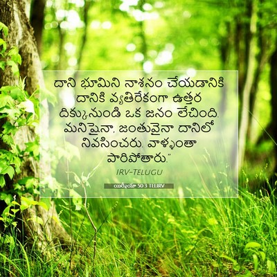 Picture 07 - యిర్మీయా 50:3 TELIRV - దాని భూమిని నాశనం - Bible Verse Picture