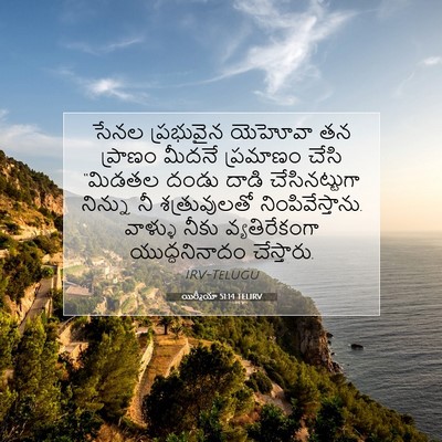 Picture 07 - యిర్మీయా 51:14 TELIRV - సేనల ప్రభువైన - Bible Verse Picture
