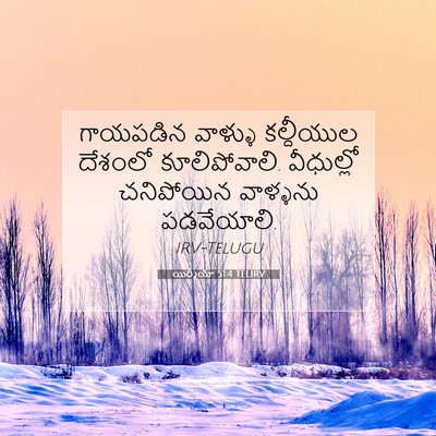 Picture 07 - యిర్మీయా 51:4 TELIRV - గాయపడిన వాళ్ళు - Bible Verse Picture