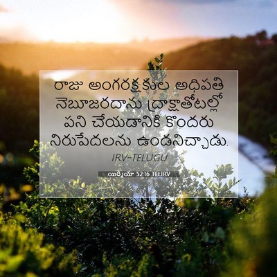 Picture 07 - యిర్మీయా 52:16 TELIRV - రాజు అంగరక్షకుల - Bible Verse Picture