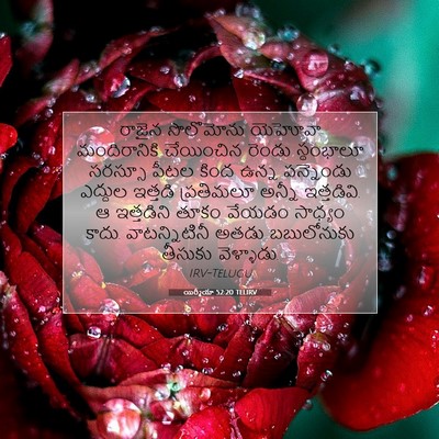 Picture 07 - యిర్మీయా 52:20 TELIRV - రాజైన సొలొమోను - Bible Verse Picture