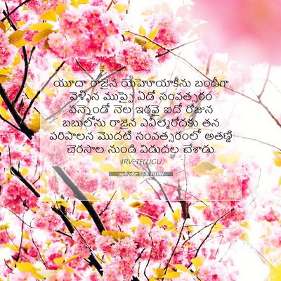 Picture 07 - యిర్మీయా 52:31 TELIRV - యూదా రాజైన - Bible Verse Picture
