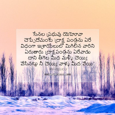 Picture 07 - యిర్మీయా 6:9 TELIRV - సేనల ప్రభువు - Bible Verse Picture
