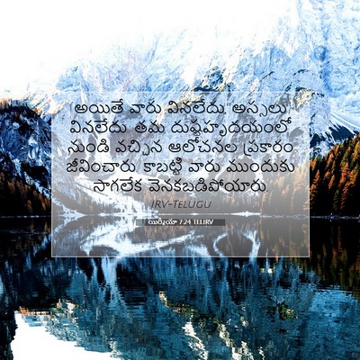 Picture 07 - యిర్మీయా 7:24 TELIRV - అయితే వారు - Bible Verse Picture