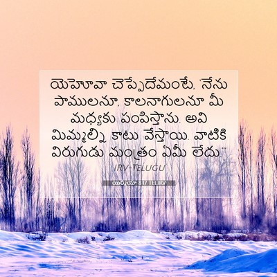 Picture 07 - యిర్మీయా 8:17 TELIRV - యెహోవా - Bible Verse Picture