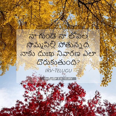 Picture 07 - యిర్మీయా 8:18 TELIRV - నా గుండె నా లోపల - Bible Verse Picture