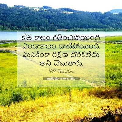 Picture 07 - యిర్మీయా 8:20 TELIRV - కోత కాలం - Bible Verse Picture
