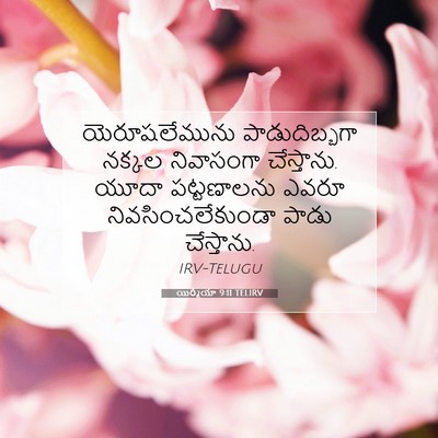 Picture 07 - యిర్మీయా 9:11 TELIRV - యెరూషలేమును - Bible Verse Picture