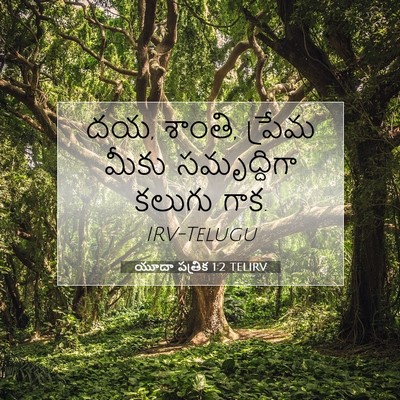 Picture 07 - యూదా పత్రిక 1:2 TELIRV - దయ, శాంతి, ప్రేమ - Bible Verse Picture