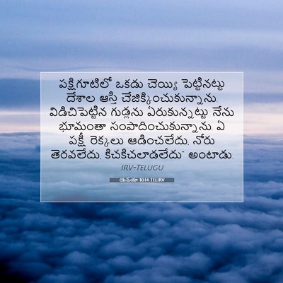 Picture 07 - యెషయా 10:14 TELIRV - పక్షిగూటిలో ఒకడు - Bible Verse Picture