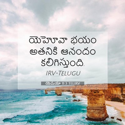 Picture 07 - యెషయా 11:3 TELIRV - యెహోవా భయం అతనికి - Bible Verse Picture