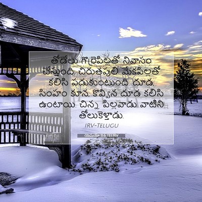 Picture 07 - యెషయా 11:6 TELIRV - తోడేలు - Bible Verse Picture
