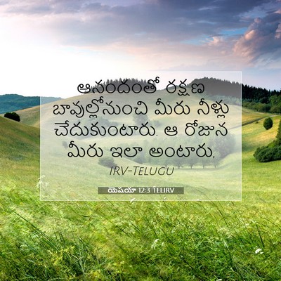 Picture 07 - యెషయా 12:3 TELIRV - ఆనందంతో రక్షణ - Bible Verse Picture