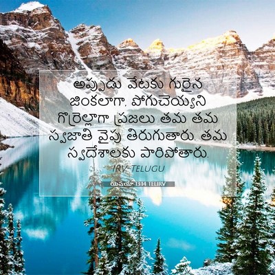 Picture 07 - యెషయా 13:14 TELIRV - అప్పుడు వేటకు - Bible Verse Picture