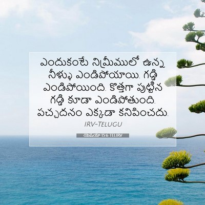 Picture 07 - యెషయా 15:6 TELIRV - ఎందుకంటే - Bible Verse Picture