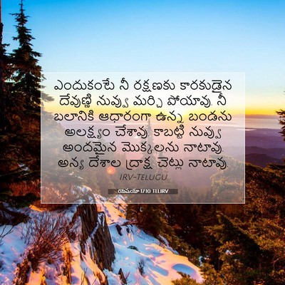 Picture 07 - యెషయా 17:10 TELIRV - ఎందుకంటే నీ - Bible Verse Picture