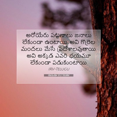 Picture 07 - యెషయా 17:2 TELIRV - అరోయేరు పట్టణాలు - Bible Verse Picture
