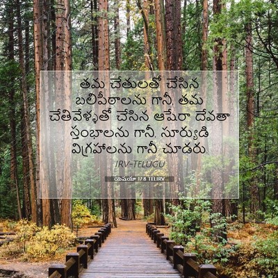 Picture 07 - యెషయా 17:8 TELIRV - తమ చేతులతో చేసిన - Bible Verse Picture