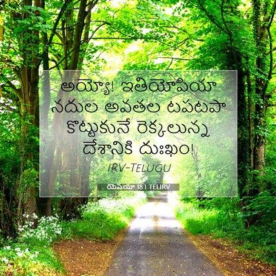 Picture 07 - యెషయా 18:1 TELIRV - అయ్యో! ఇతియోపియా - Bible Verse Picture