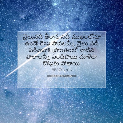 Picture 07 - యెషయా 19:7 TELIRV - నైలునదీ తీరాన, నదీ - Bible Verse Picture