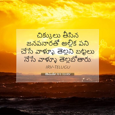 Picture 07 - యెషయా 19:9 TELIRV - చిక్కులు తీసిన - Bible Verse Picture