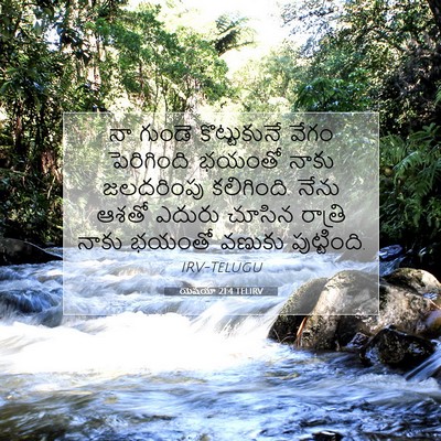Picture 07 - యెషయా 21:4 TELIRV - నా గుండె - Bible Verse Picture
