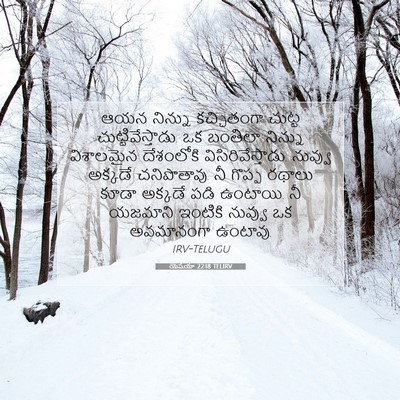 Picture 07 - యెషయా 22:18 TELIRV - ఆయన నిన్ను - Bible Verse Picture