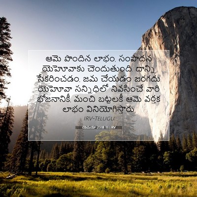 Picture 07 - యెషయా 23:18 TELIRV - ఆమె పొందిన లాభం, - Bible Verse Picture