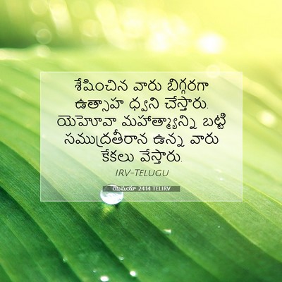 Picture 07 - యెషయా 24:14 TELIRV - శేషించిన వారు - Bible Verse Picture