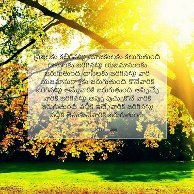 Picture 07 - యెషయా 24:2 TELIRV - ప్రజలకు - Bible Verse Picture