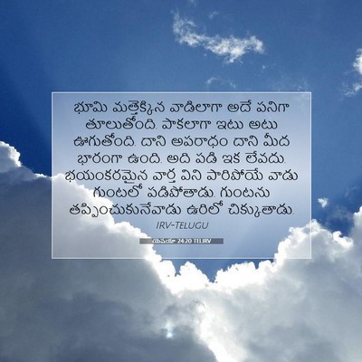 Picture 07 - యెషయా 24:20 TELIRV - భూమి మత్తెక్కిన - Bible Verse Picture