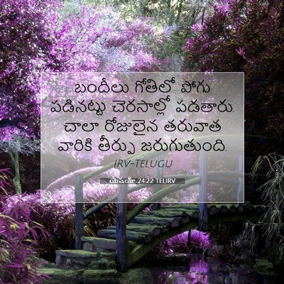 Picture 07 - యెషయా 24:22 TELIRV - బందీలు గోతిలో - Bible Verse Picture