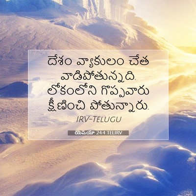 Picture 07 - యెషయా 24:4 TELIRV - దేశం వ్యాకులం చేత - Bible Verse Picture