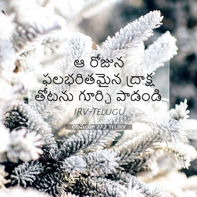 Picture 07 - యెషయా 27:2 TELIRV - ఆ రోజున ఫలభరితమైన - Bible Verse Picture