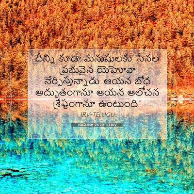 Picture 07 - యెషయా 28:29 TELIRV - దీన్ని కూడా - Bible Verse Picture