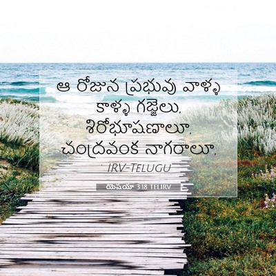 Picture 07 - యెషయా 3:18 TELIRV - ఆ రోజున ప్రభువు - Bible Verse Picture