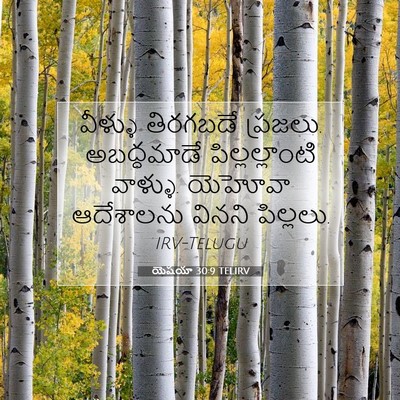Picture 07 - యెషయా 30:9 TELIRV - వీళ్ళు తిరగబడే - Bible Verse Picture