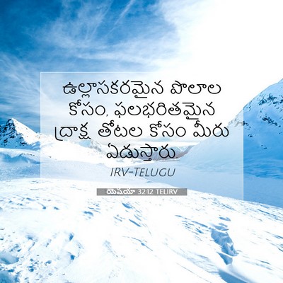 Picture 07 - యెషయా 32:12 TELIRV - ఉల్లాసకరమైన పొలాల - Bible Verse Picture