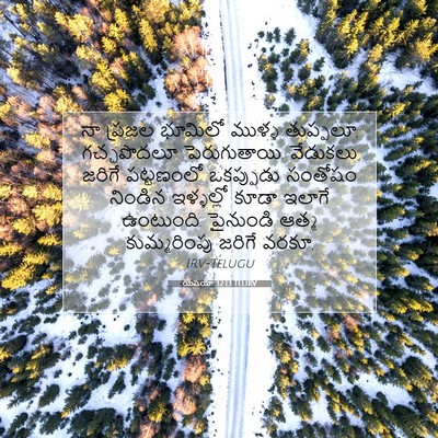 Picture 07 - యెషయా 32:13 TELIRV - నా ప్రజల భూమిలో - Bible Verse Picture