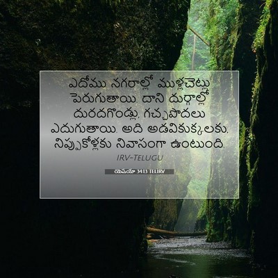 Picture 07 - యెషయా 34:13 TELIRV - ఎదోము నగరాల్లో - Bible Verse Picture