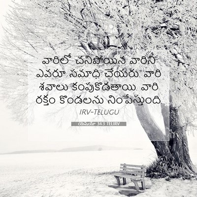 Picture 07 - యెషయా 34:3 TELIRV - వారిలో చనిపోయిన - Bible Verse Picture