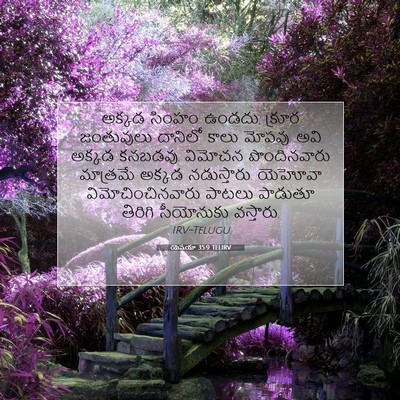Picture 07 - యెషయా 35:9 TELIRV - అక్కడ సింహం ఉండదు, - Bible Verse Picture