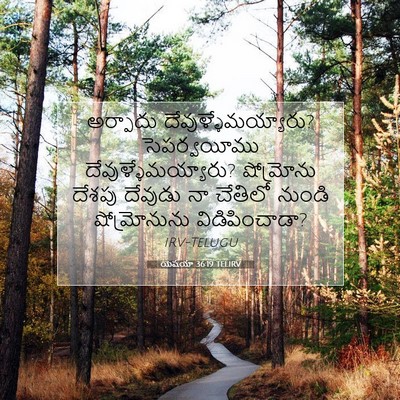 Picture 07 - యెషయా 36:19 TELIRV - అర్పాదు - Bible Verse Picture