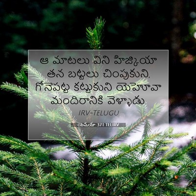 Picture 07 - యెషయా 37:1 TELIRV - ఆ మాటలు విని - Bible Verse Picture