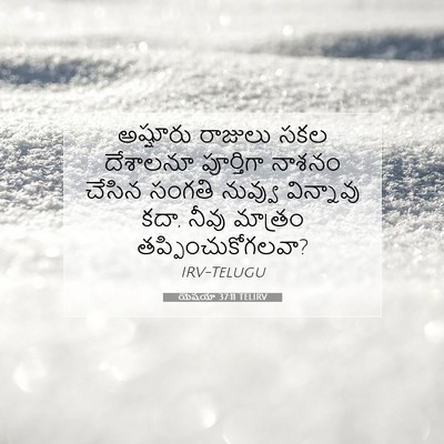 Picture 07 - యెషయా 37:11 TELIRV - అష్షూరు రాజులు - Bible Verse Picture