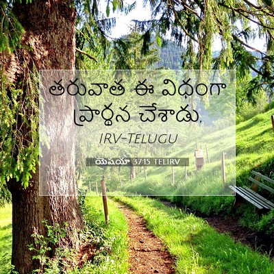 Picture 07 - యెషయా 37:15 TELIRV - తరువాత ఈ విధంగా - Bible Verse Picture